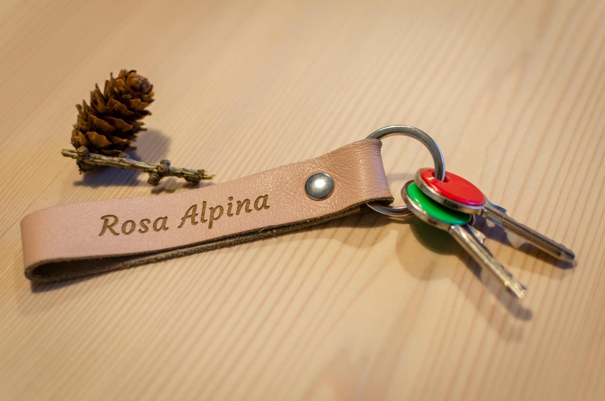 Rosa Alpina - Appartamento Nelle Dolomiti ดอบบีอาโก ภายนอก รูปภาพ